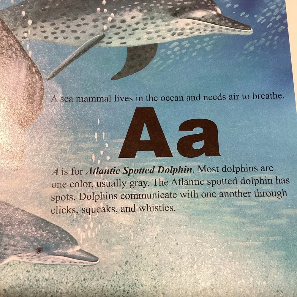 N/A scholastic sea